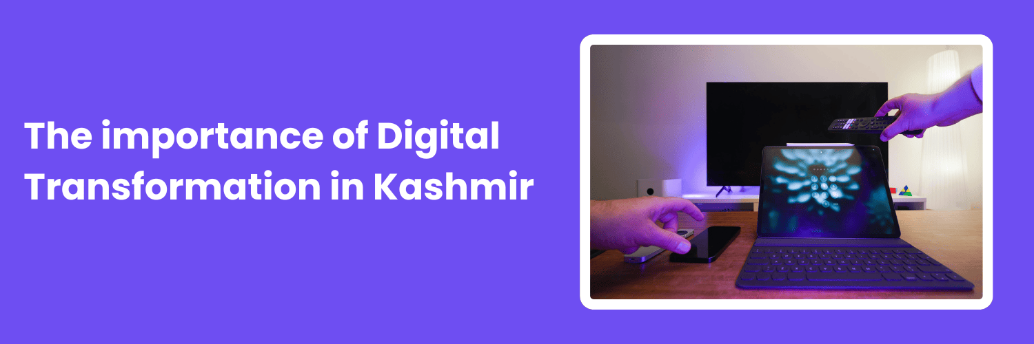 Kashmir business opportunities