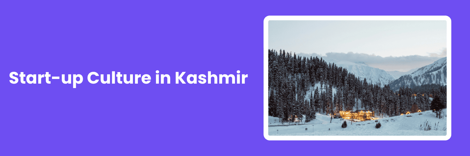 Kashmir business opportunities