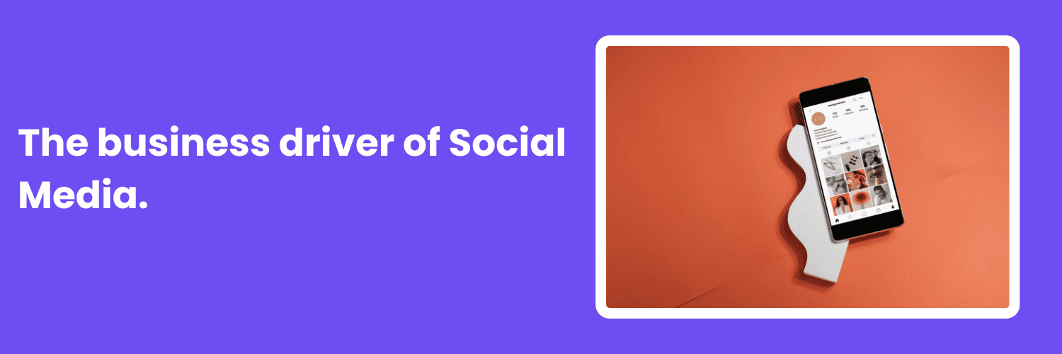 Kashmir business opportunities